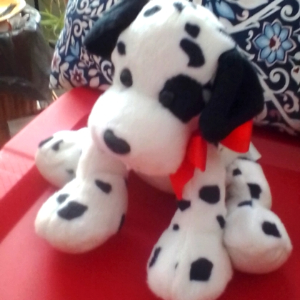 Dalmatian puppy